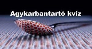 Agykarbantartó kvíz – Ezek azok a kérdések, amit valószínűleg tudsz, mégis megizzaszt
