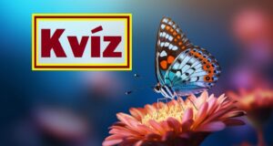 Kvízkérdés csokor: Szerintünk, erre a kérdésekre van most a legnagyobb szükséged