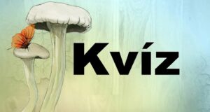Kvíz kérdések: Egy kicsi szórakozásra vágysz? Ezt a mixt neked szántuk (699)