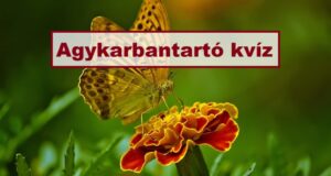 Agykarbantartó kvíz: Jöhet egy kis elmebajnokság? (620)