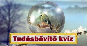 Tudásbővítő kvíz: Le a kalappal, ha jól sikerül (935)