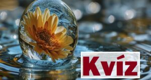 Kvíz-mix: Ezek a kérdések, nehezek, de érdekesek (691)