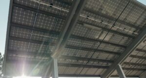 Zöld energia a parkolóban: így lesz vállalkozása élmezőnyben