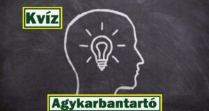 Agykarbantartó kvíz: Szerintünk, erre a kérdésekre van most a legnagyobb szükséged (695)