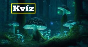 Kvízkérdés csokor: Van pár perced? Játszd le ezt az érdekes quizt (599)