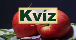 Kvízkérdés csokor: Itt egy új teszt. Csak most és csak neked! (573)
