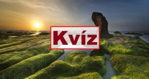 Kvízkérdés csokor: Ez az igazi elmebajnokság. Hány pontod lett? (696)