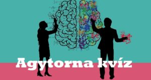 Agytorna kvíz: Jöhet egy kis elmebajnokság? (752)