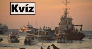 Kvíz kérdések: Elmebajnokság, hány pontod lesz? (436)