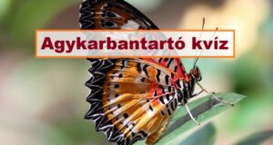Agykarbantartó kvíz: Van pár perced? Játszd le ezt az izgalmas quizt (838)