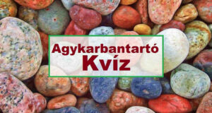 Agykarbantartó kvíz: Itt egy új teszt. Csak most és csak neked! (526)