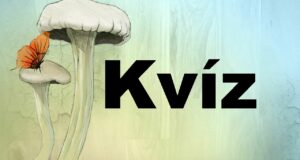 Nyolc kvízkérdés: Nyolc jó kattintás és egy kis mosoly (501)