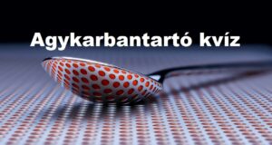 Agykarbantartó kvíz: Érdekes kérdések, izgalmas nap, mi kell még? (991)