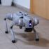 Hello robot! –	Kutatók Éjszakája a Gábor Dénes Egyetemen